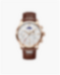 Lugano Classic Watch (Waterproof)