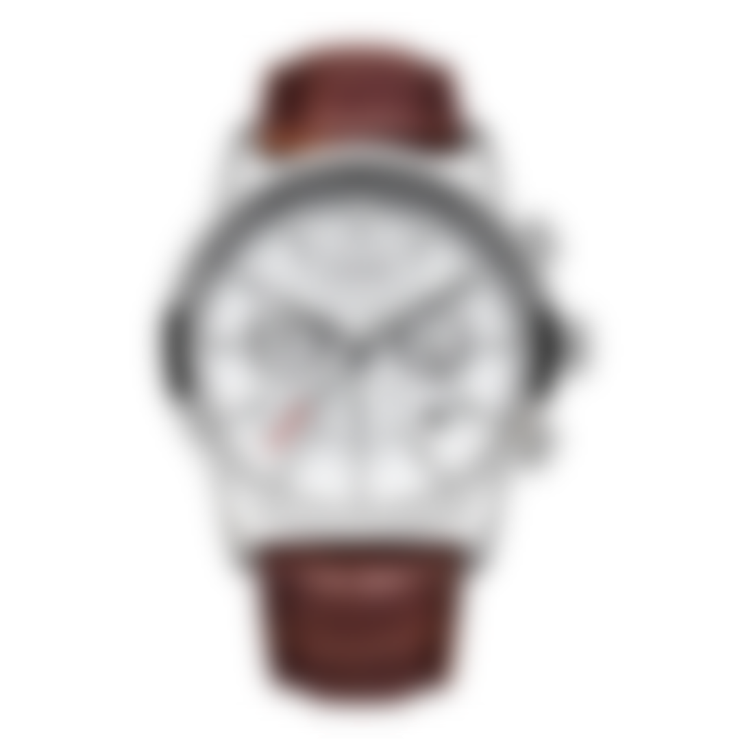 Panamera Executive Watch Verno